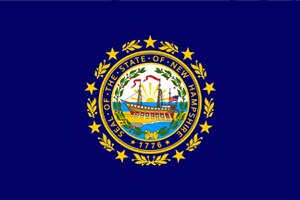 NEW HAMPSHIRE STATE FLAG